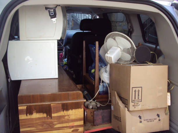 Best Carpet Removal and Disposal  in Fruitland, MD
